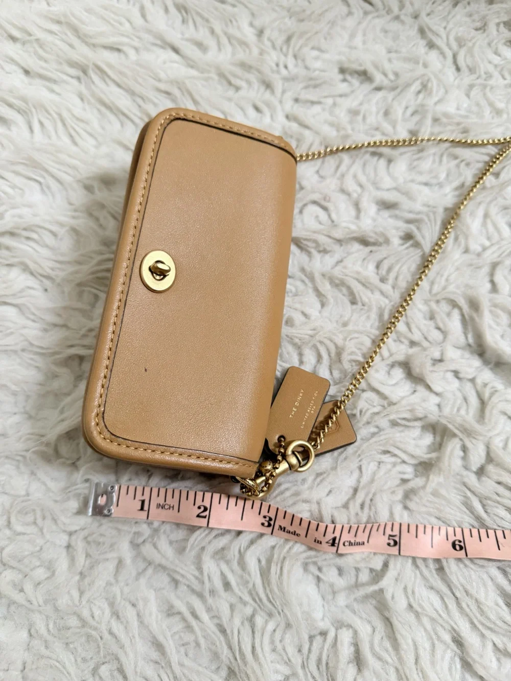 Coach Micro Dinky Bag